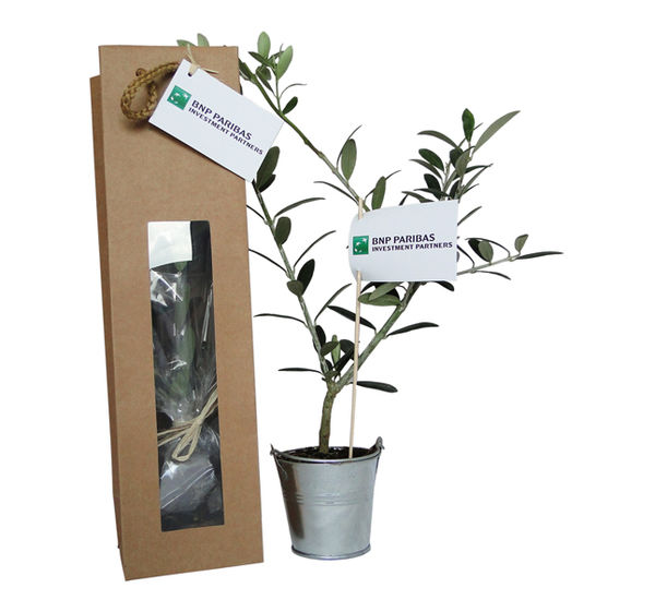 Plant d'arbre en sac kraft - Prestige personnalisé