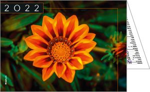 calendriers de poches fleurs 4