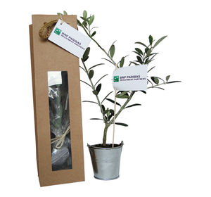 Plant d'arbre en sac kraft - Prestige personnalisé