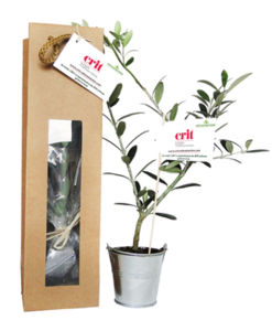 Plant d'arbre en sac kraft - Prestige personnalisé 3