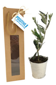 Plant d'arbre en sac kraft - Prestige personnalisé 4