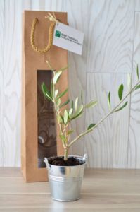 Plant d'arbre en sac kraft - Prestige personnalisé 5