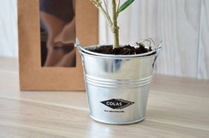 Plant d'arbre en sac kraft - Prestige personnalisé 7