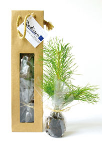 Plant d'arbre en sac kraft - Prestige personnalisé 8